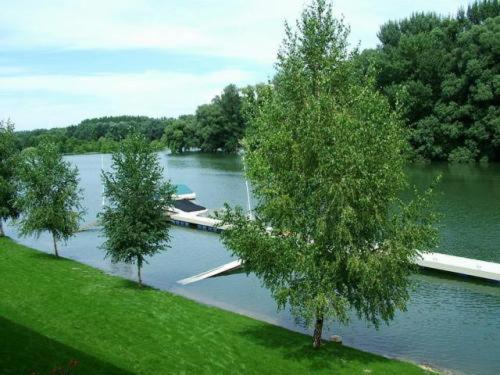 Amstel Hattyú Panzió -Érintésmentes bejelentkezés Győr Extérieur photo